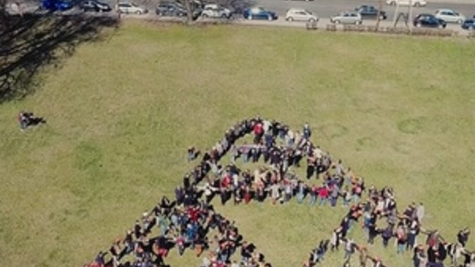 Duża grupa studentów stojąca na trawie w kształcie trójkątów